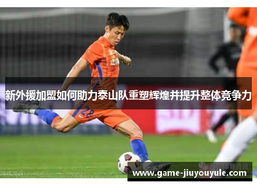 新外援加盟如何助力泰山队重塑辉煌并提升整体竞争力