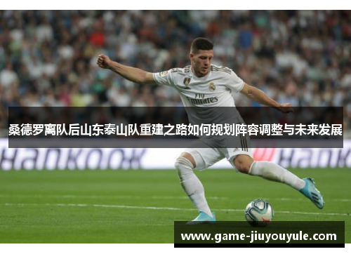 桑德罗离队后山东泰山队重建之路如何规划阵容调整与未来发展